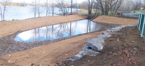 Marais : murs de soutènement, bassin de rétention|Marsh: retaining wall - retention pond